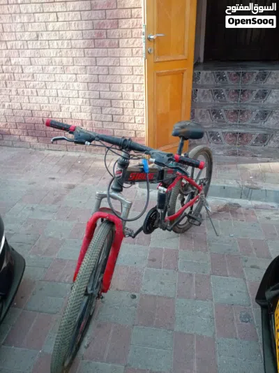 foldable cycle 2