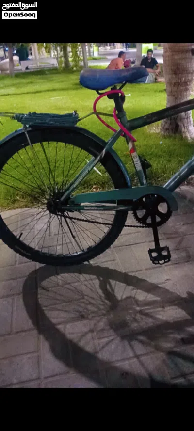 urgent sale bike cycle very good condition. breaks okay, all ok condition Good, with new wire Lock 2