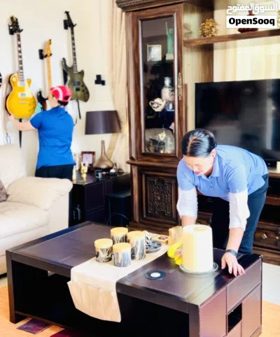 PROFESSIONAL CLEANERS AVAILABLE 2