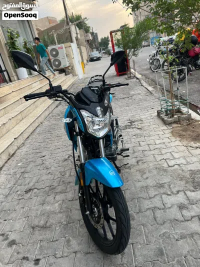 Benelli BN251 3