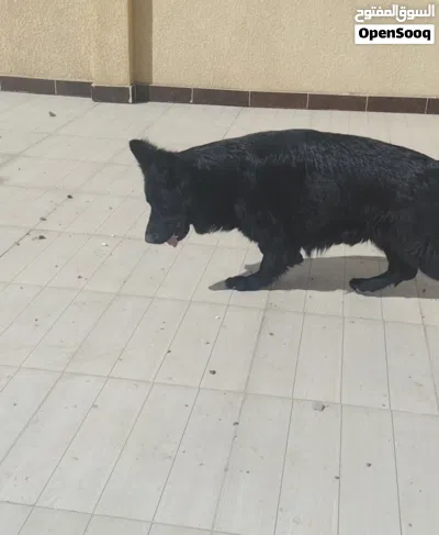 undefined 2