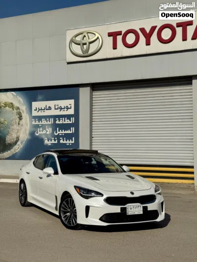 کیا Stinger EX 4
