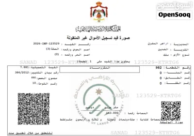 ارض للبيع في المفرق -الفدين -حي سكة بسعر مغري 4