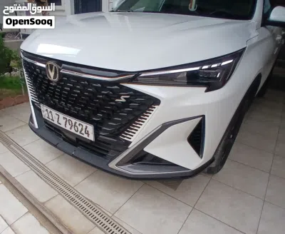 Changan Other 3
