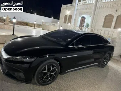 بي واي دي هان 2