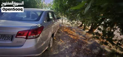 BAIC Other 4