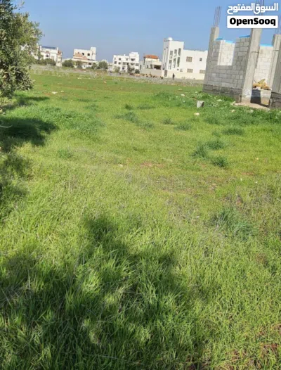 ارض للايجار بشرى حوض دغيم 4