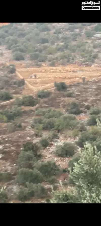 أرض للبيع بمنطقه ألف 2