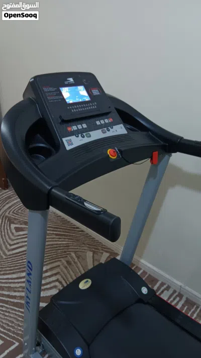Skyland Treadmill 2