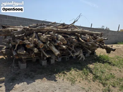 للبيع حطب اشجار متنوعه وصلبة 4