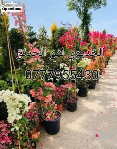 undefined 3