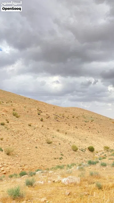 ارض للبيع في محافظة الزرقاء 2