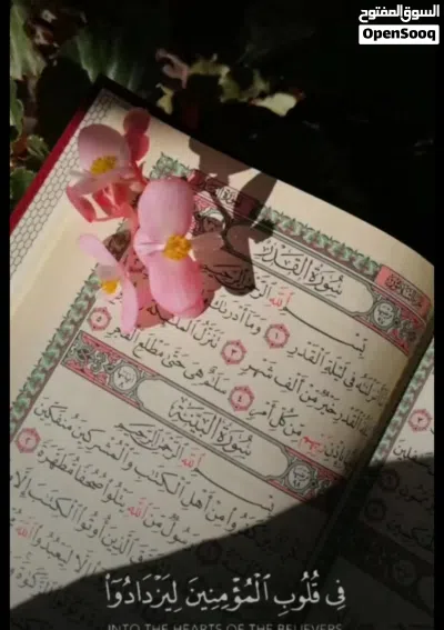 السلام عليكم - معلمة قرآن - للمقررات المدرسية - للنساء والصغار 3