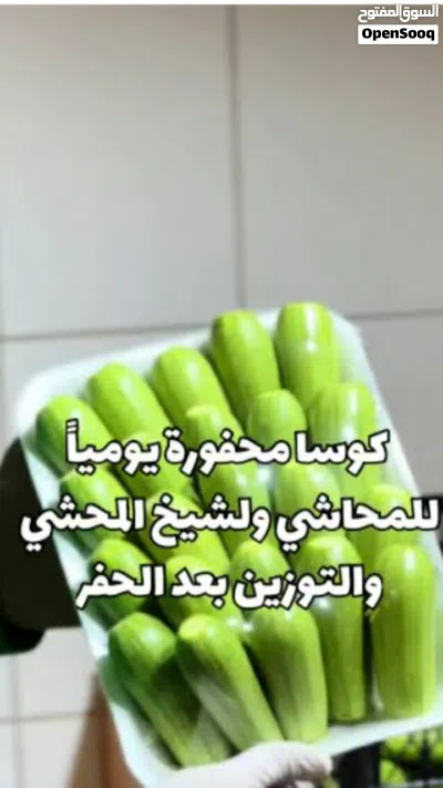 خضار كوسا باذنجان جاهز للحشو 3