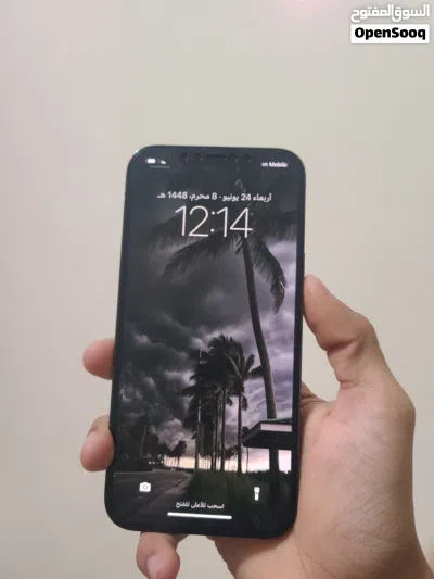 ايفون 12 برو ماكس عرطه 3