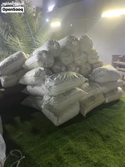 خبز +بسكوت + بطاطس للأغنام 3