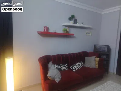 شقه مفروشه للأيجار خلف السيفوي للايجار 2
