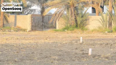 قطعه ارض زراعيه للبيع 2