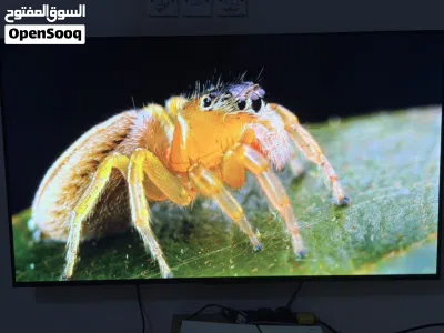 تلفزيون TCL V6B استعمال خفيف باقيه تحت الضمان الرسمي سمارت حديثة تدعم نظام جوجل بشكل رسمي 3