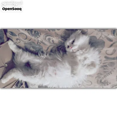 undefined 2