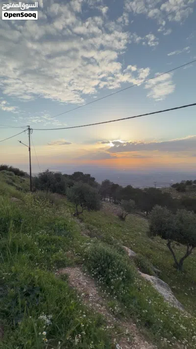 أرض مميزة بإطلالة غربية على البحر الميت بالقرب من عمّان 4