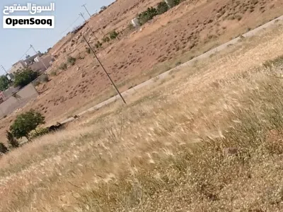 ارض للبيع الشوبك بير خداد 3