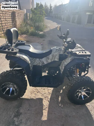 Buggy All Models 3