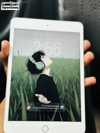 iPad mini5 4