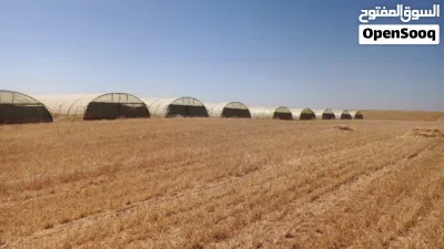 بيوت بلاستيكيه للبيع 20 بيت 3