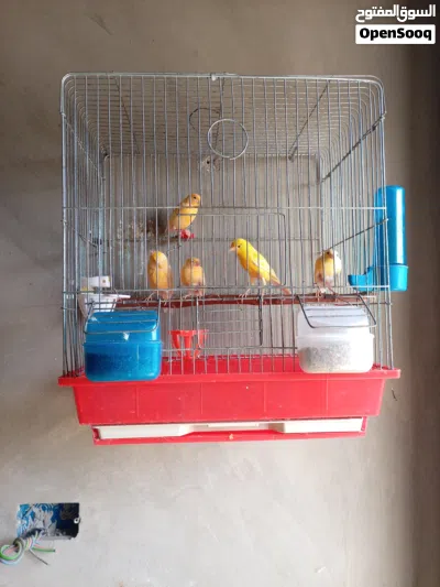 undefined 3