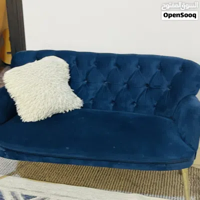 قنفه زركه للبيع 2