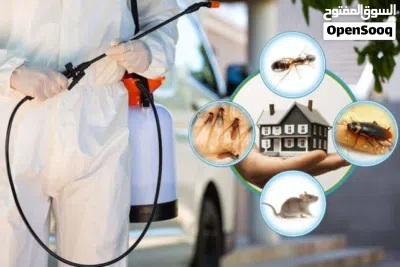 مكافحة جميع أنواع الحشرات بالرياض صراصير، بق، نمل أبيض، فئران خدمة فورية وأسعار منافسة 3