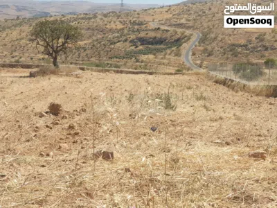 قطعة مميزة مستوية مشغولة مسنسلة مشيكة مطلة على شارعين 5125م فقط 90000 صروت بيرين قرب العالوك والمسرة 4