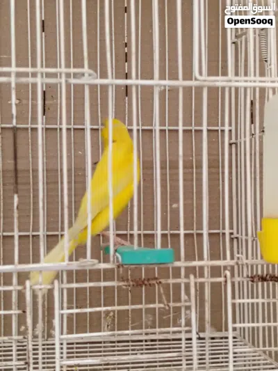 undefined 2