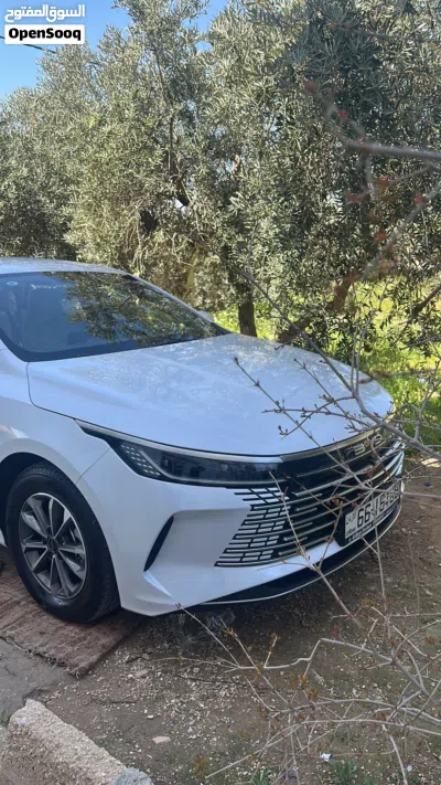 BYD Destroyer 05 3