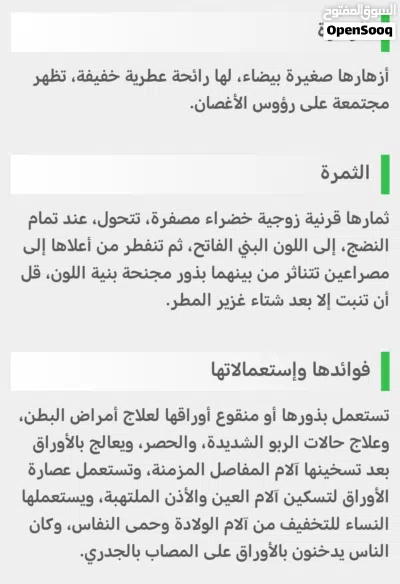 ورق الحرمل العماني 2