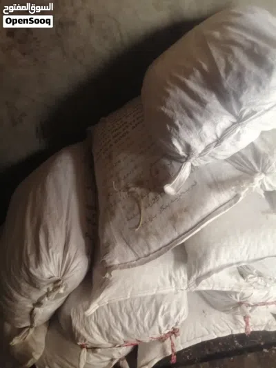 فرصة لأصحاب المواشي للبيع نفيعه إنتاج هذا العام من مزارع سمائل 3
