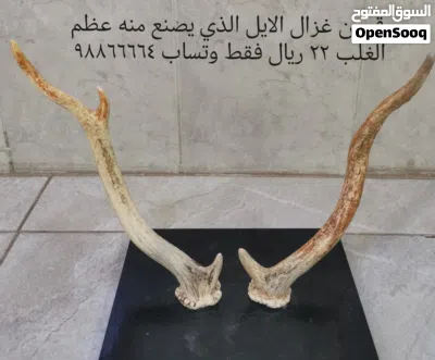 undefined 3