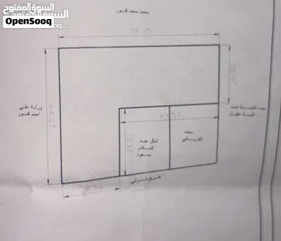 عرض ارض موسي كوسه كزيوني 4