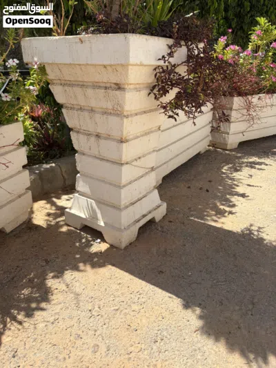 احوض غراس 3