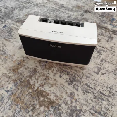 Roland Cube Lite 4