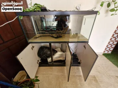 undefined 4