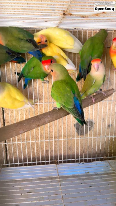 undefined 4