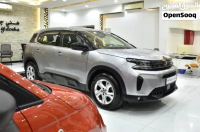 Citroen C5 C5 Aircross 3