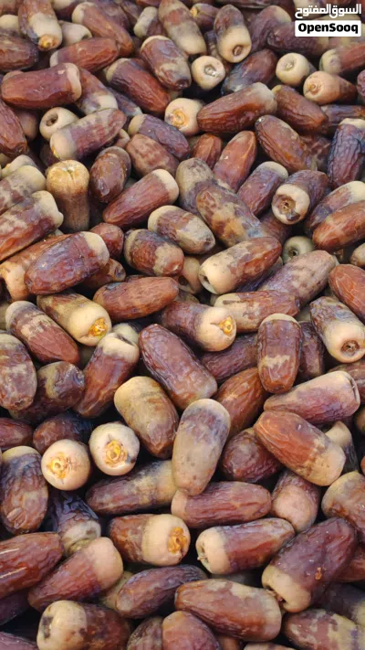تمر جريجرو 3