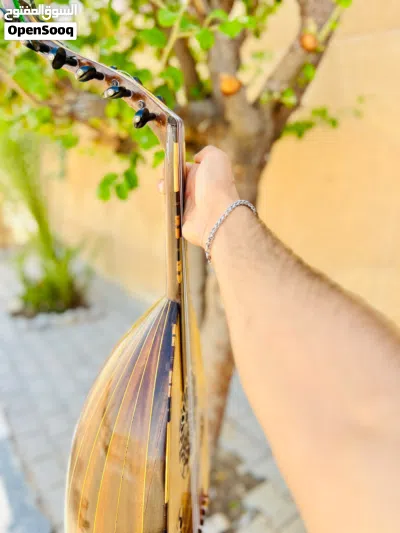 عود سيسم هندي شرقي 4