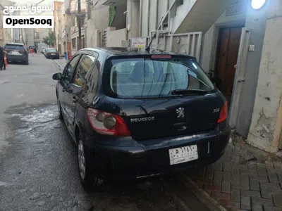 Peugeot 307 Standard 2