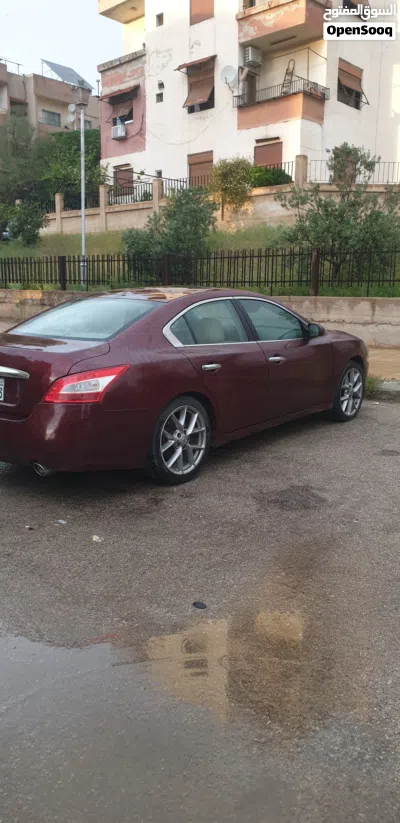 Nissan Maxima SR1 4