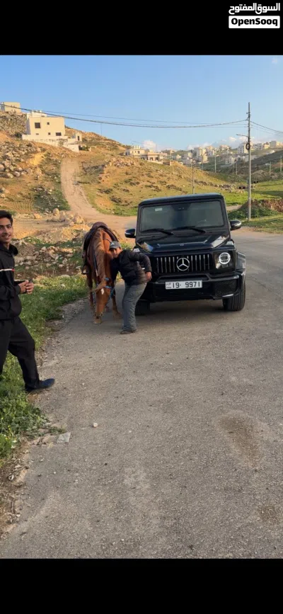 Mercedes Benz G-Class G 63 AMG 2