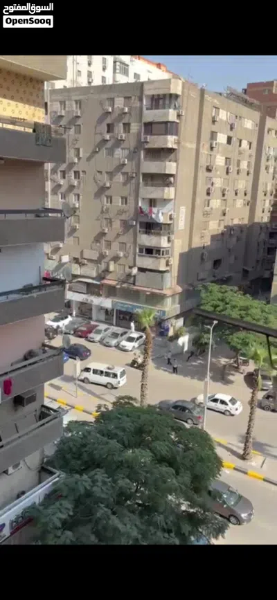 شقه لقطه للبيع فيصل الرئيسي 2